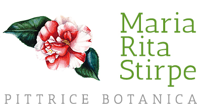 Maria Rita Stirpe – Pittrice Botanica Logo