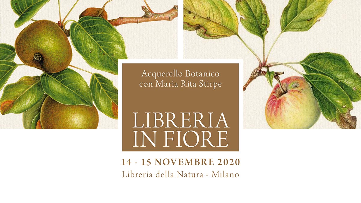 Libreria in Fiore - Milano - Novembre 2020 - Maria Rita Stirpe