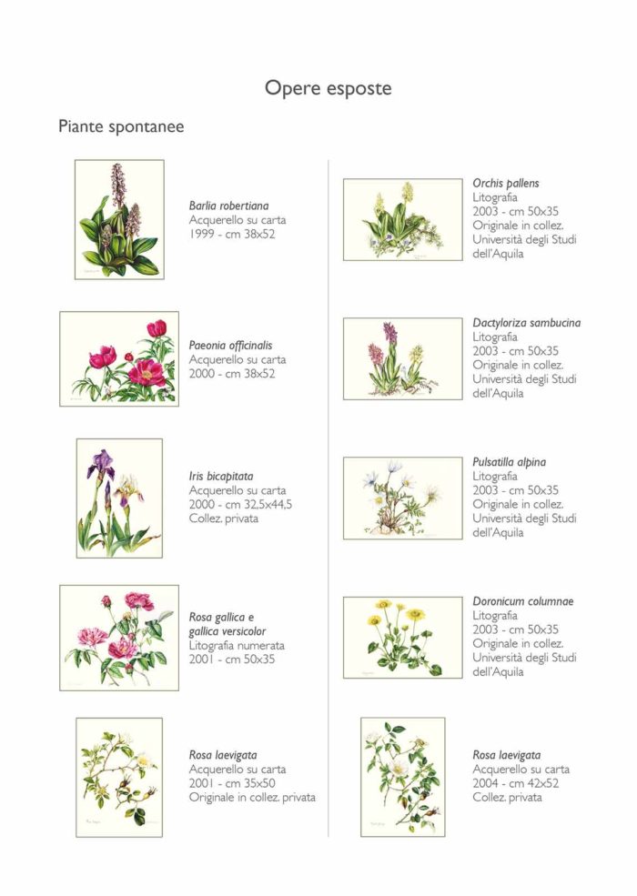Catalogo - Ars Botanica - Pagina Interna 01
