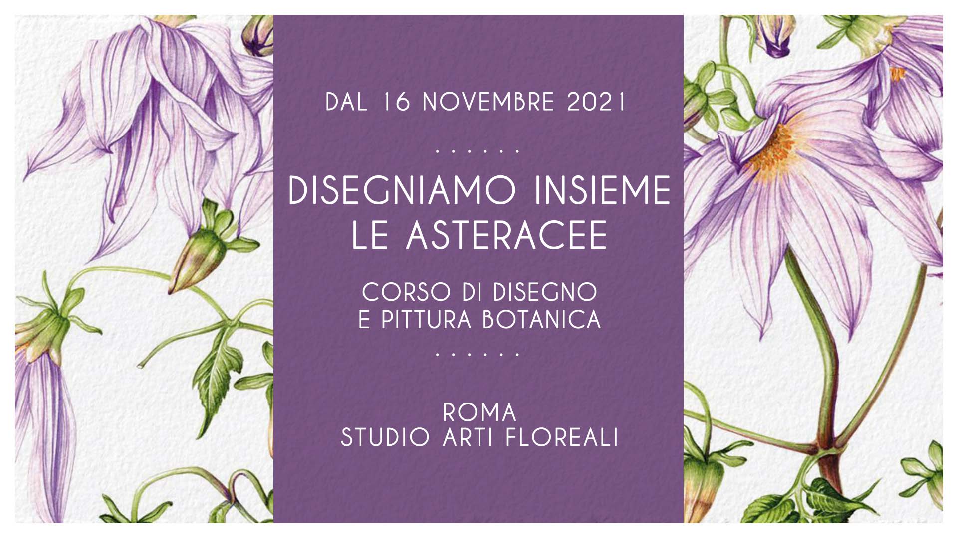 Disegniamo insieme le Asteracee - Roma - Novembre - 2021