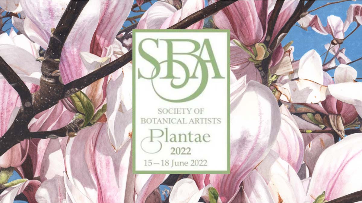 Society of Botanical Artists - Plantae 2022