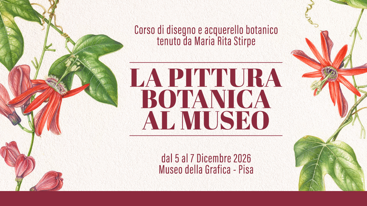 Maria Rita Stirpe – Pittura Botanica al Museo – Pisa – Dicembre 2026 – Cover